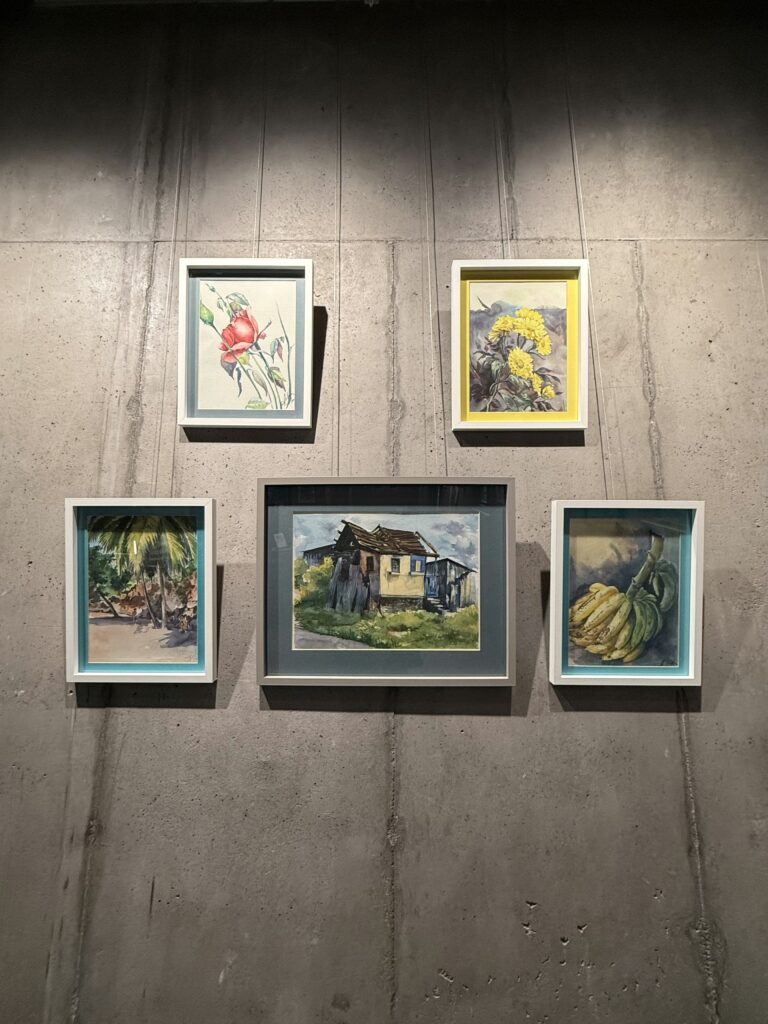 Artist Aaron Hamilton Artwork in Museum